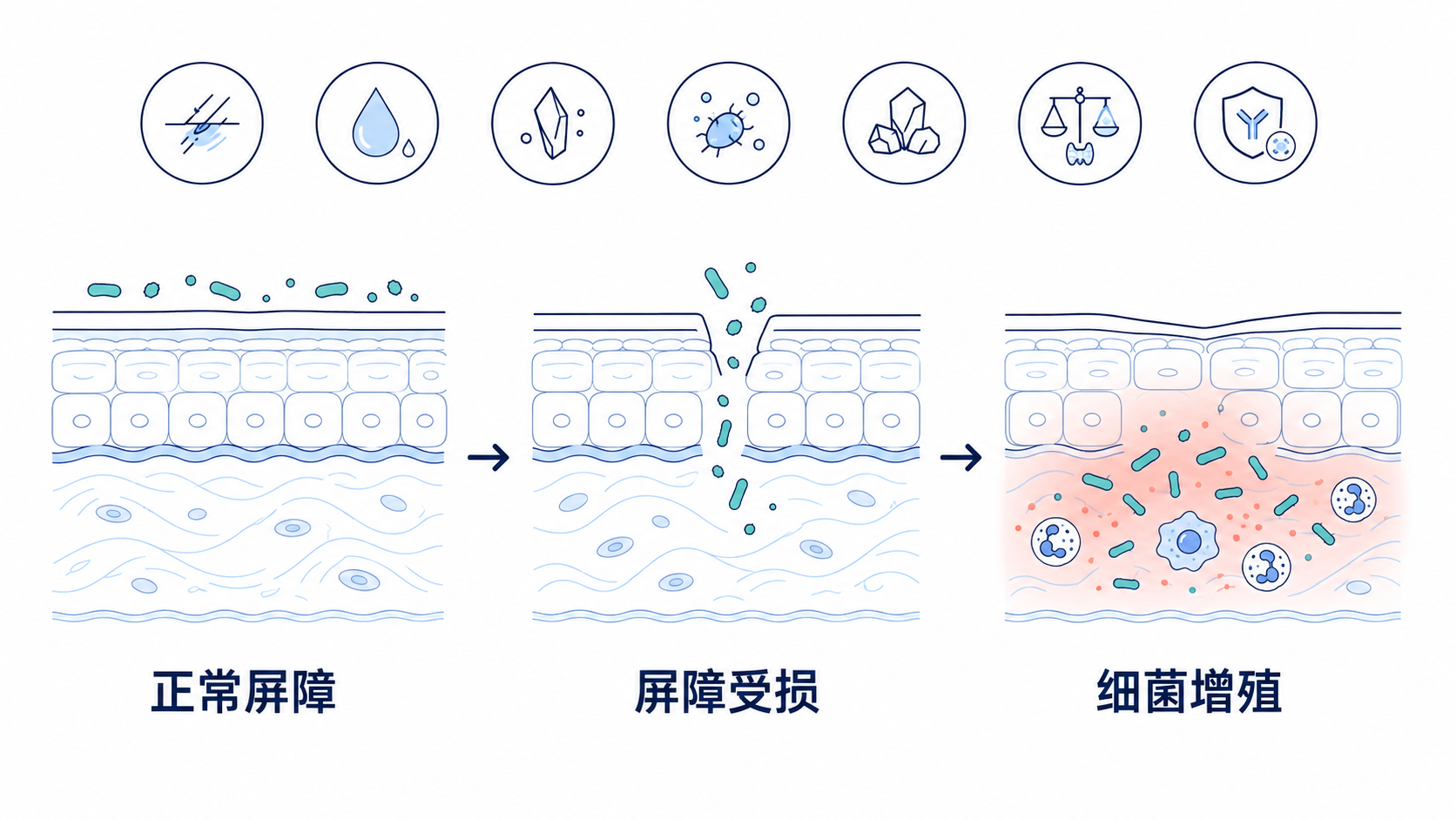 原手册插图