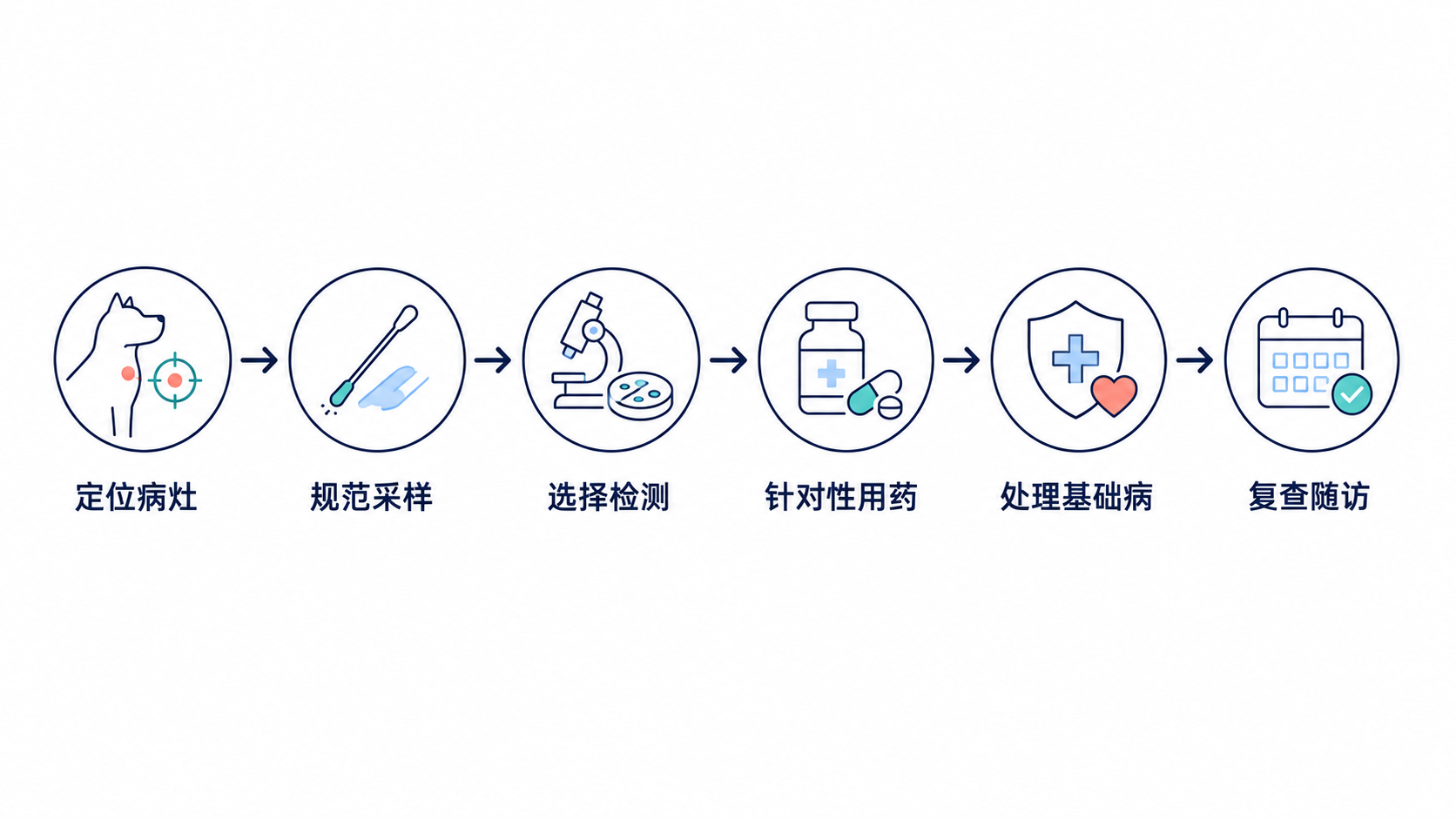 原手册插图