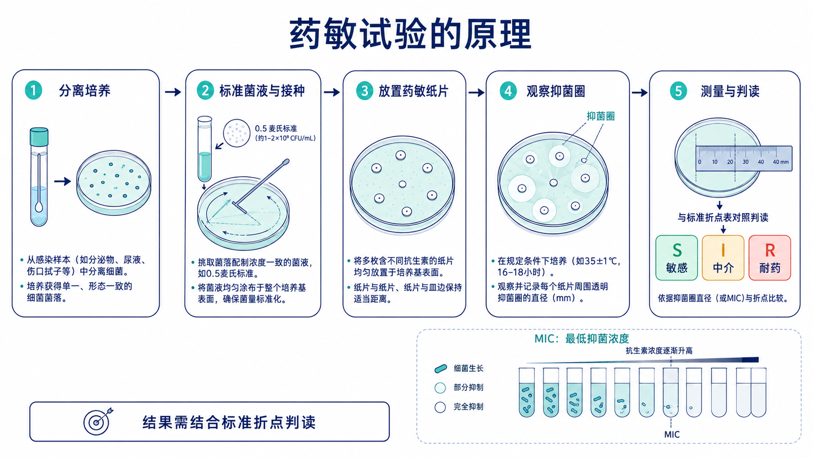 原手册插图