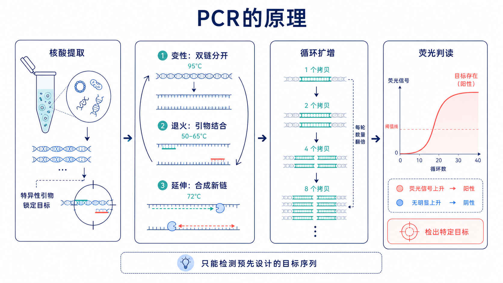 原手册插图