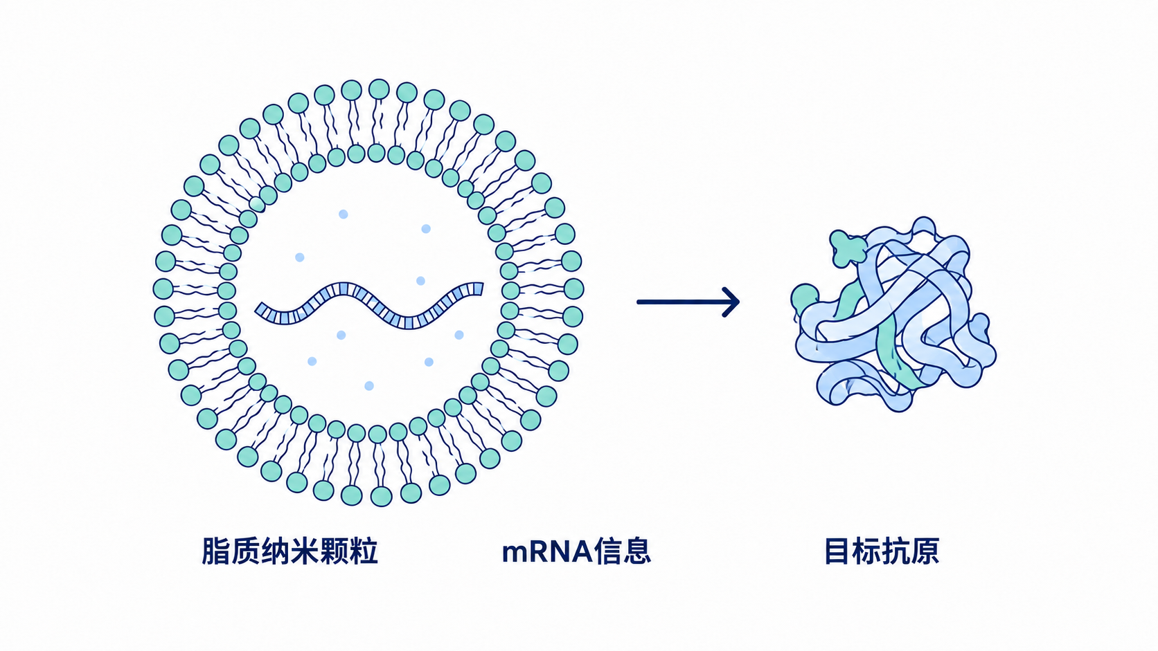 原手册插图
