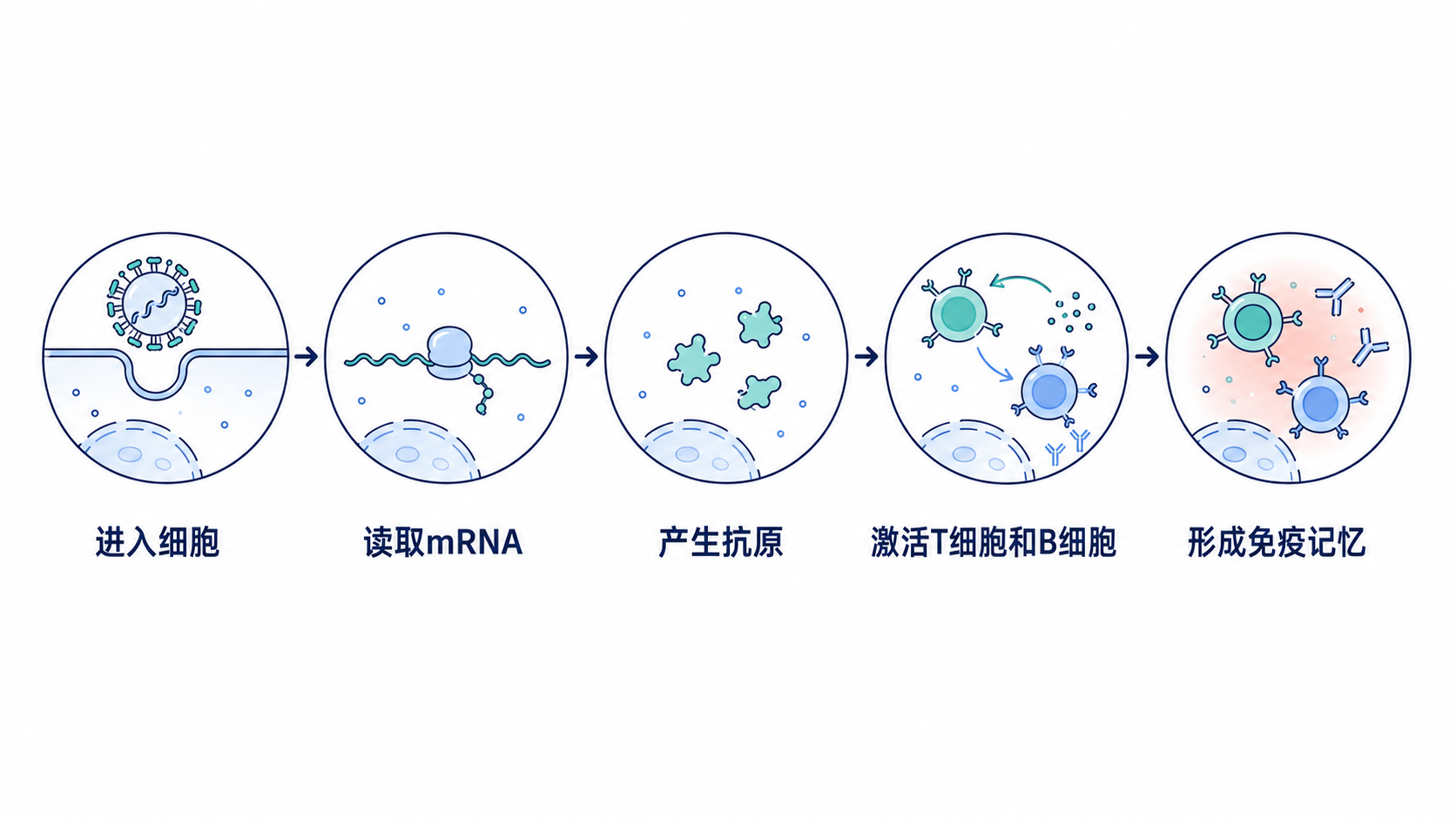原手册插图