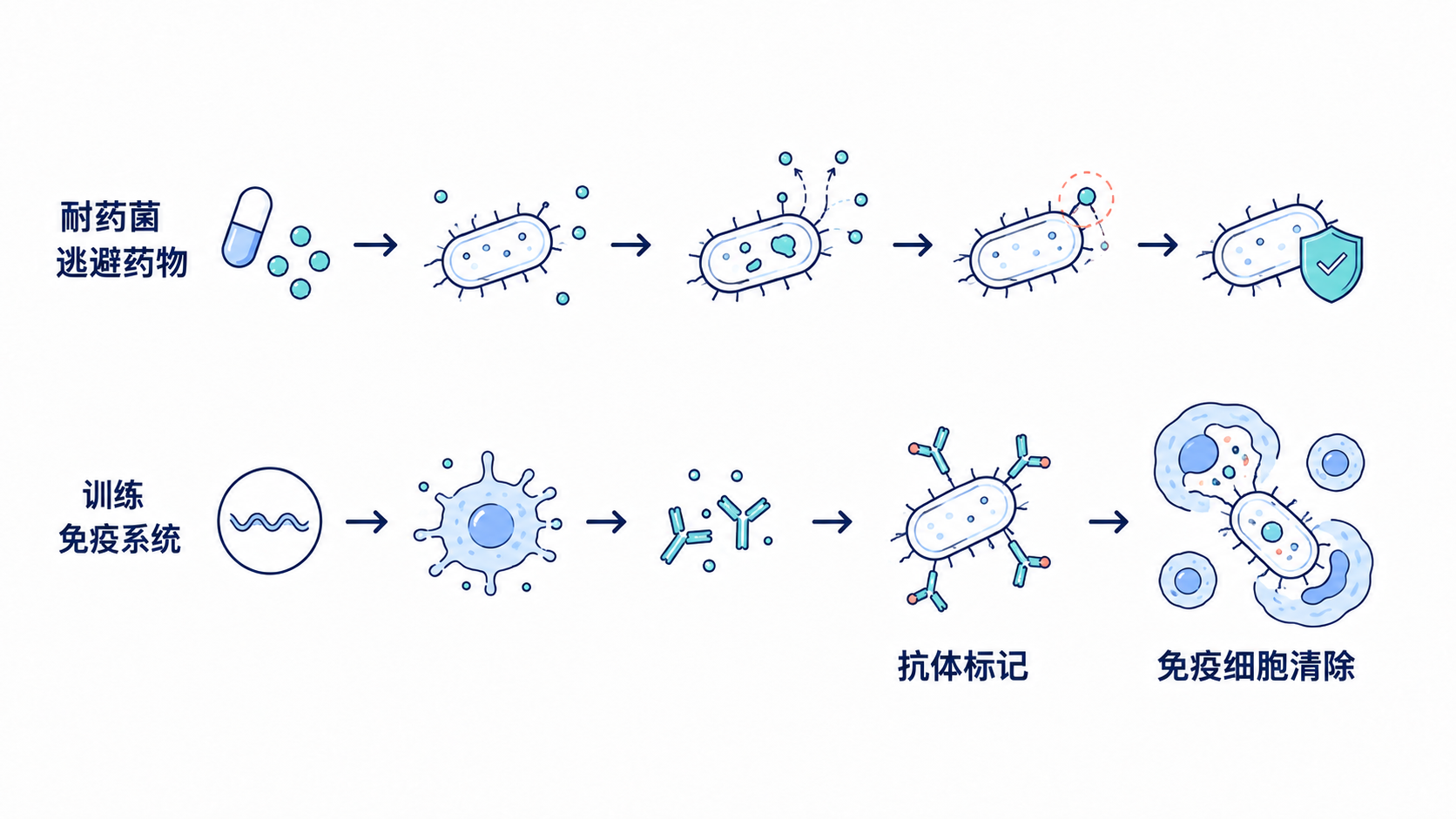 原手册插图