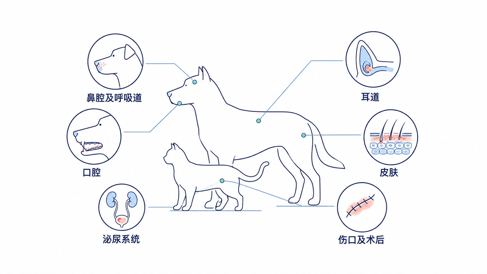 原手册插图