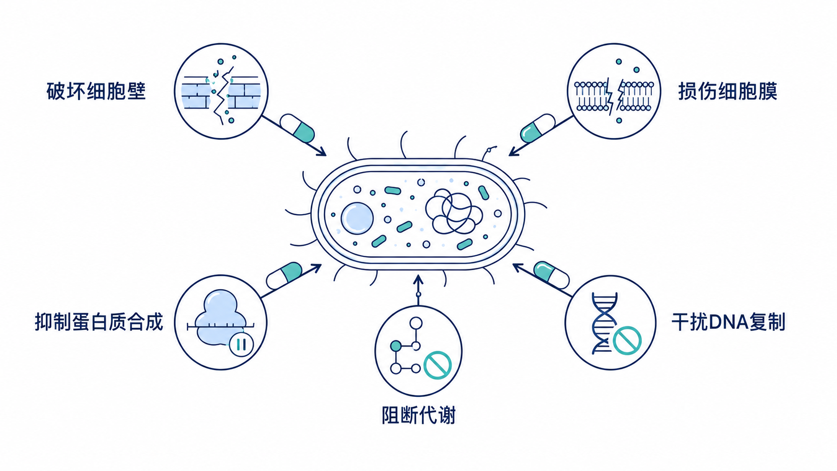 原手册插图