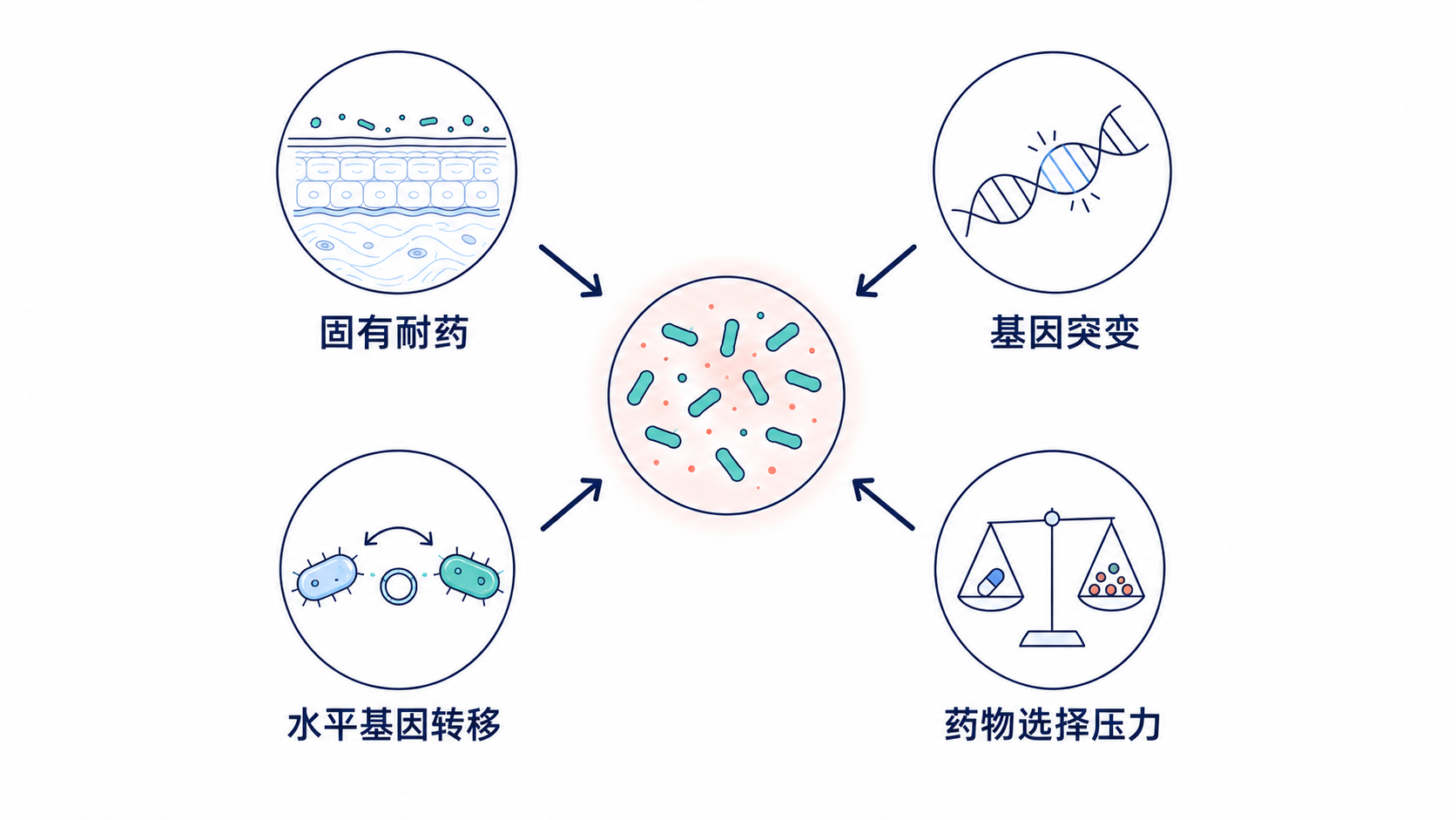 原手册插图