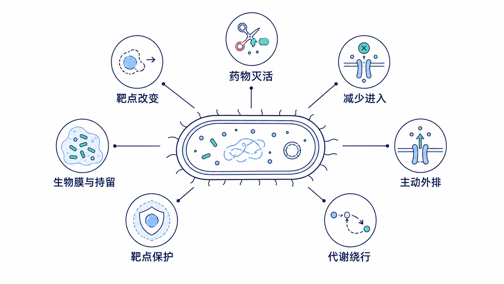 原手册插图
